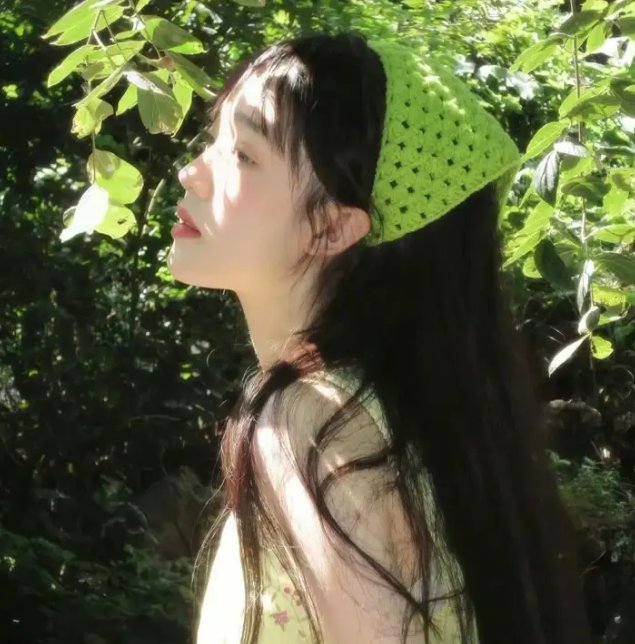 年度鸟事