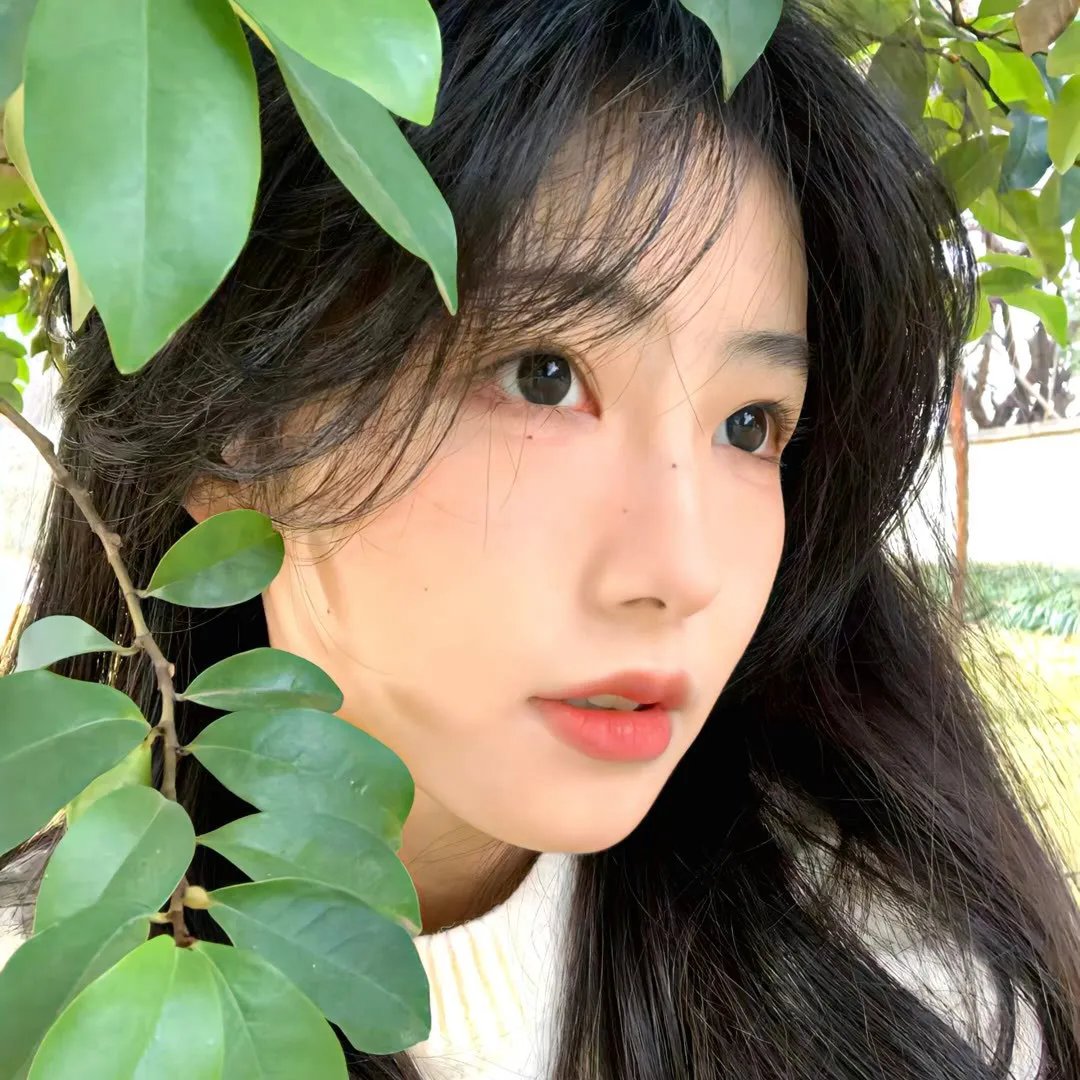 五个女生